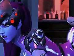 3d Video Of Overwatch Characters Engaging In Sexual Activity